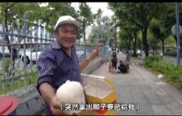 TP Hồ Chí Minh: Lại xuất hiện trái dừa bán cho du khách giá 150.000 đồng?