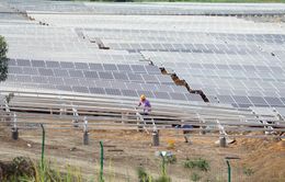 Việt Nam có cơ hội đón dòng giao dịch mạnh mẽ về năng lượng tái tạo