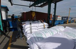 Indonesia mở thầu mua gạo, có 300.000 tấn từ Việt Nam, Thái Lan và Myanmar
