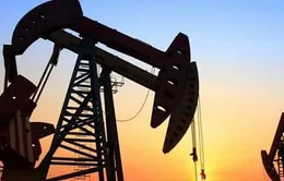 Giá dầu khó tăng cao kéo dài