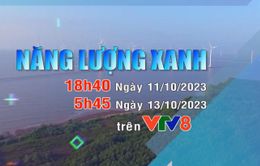 Năng lượng Xanh trên VTV8