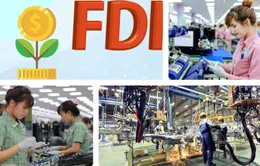 Thu hút FDI chất lượng cao, nâng vị thế Việt Nam trong chuỗi giá trị