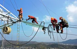 Đẩy nhanh tiến độ đường dây 500KV mạch 3