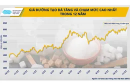 Giá đường cao lịch sử có tạo nên ‘thời điểm vàng’ cho ngành mía đường hồi phục?