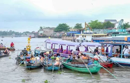 Cần Thơ, Sa Pa lọt top 10 "Điểm đến mùa thu hấp dẫn nhất thế giới''