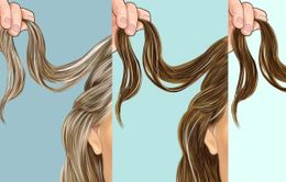 Nguyên nhân bạc tóc sớm và cách làm chậm quá trình bạc tóc tự nhiên
