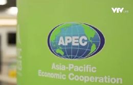Việt Nam tích cực, chủ động đóng góp cho hợp tác APEC