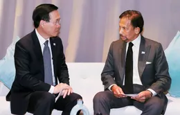 Chủ tịch nước Võ Văn Thưởng gặp Quốc vương Brunei nhân dịp dự Tuần lễ Cấp cao APEC 2023