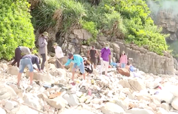 Bà Rịa - Vũng Tàu: Thu gom và xử lý 320 m3 rác thải đại dương tại Côn Đảo