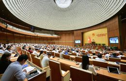 Ngày 20/11, Quốc hội thảo luận về việc giảm thuế giá trị gia tăng