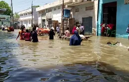 Số người thiệt mạng do lũ lụt nghiêm trọng ở Somalia tăng lên 50