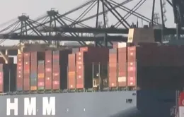 Chỉ số ngoại thương của EU vẫn giảm