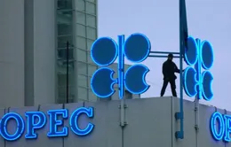 Bất đồng giữa các thành viên OPEC+