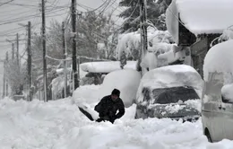 Bulgaria báo động đỏ vì bão tuyết bất thường