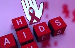 Gia tăng lây nhiễm HIV qua đường tình dục