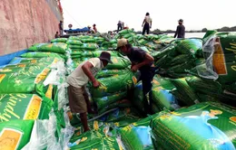 Giá tăng cao, gạo Việt khẳng định chỗ đứng trên thế giới