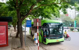 Ưu tiên chuyển đổi năng lượng xanh các tuyến bus khu vực trung tâm Hà Nội