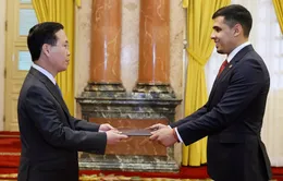 Chủ tịch nước Võ Văn Thưởng tiếp Đại sứ các nước Venezuela và Lào trình quốc thư