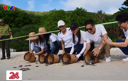 Gây quỹ bảo tồn rùa biển Côn Đảo