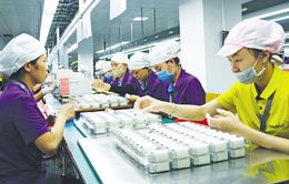 Doanh nghiệp Trung Quốc đánh giá cao môi trường đầu tư Việt Nam