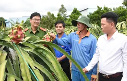 Tấm gương sáng trong việc làm lại cuộc đời sau những lầm lỡ