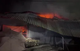 Bình Phước: Chợ Thống Nhất bốc cháy trong đêm, nhiều tài sản bị thiêu rụi