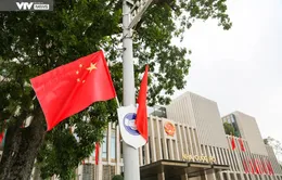 Thủ đô Hà Nội rực rỡ cờ hoa đón Tổng Bí thư, Chủ tịch nước Trung Quốc Tập Cận Bình thăm Việt Nam