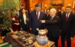Tổng Bí thư Nguyễn Phú Trọng mời Tổng Bí thư, Chủ tịch Tập Cận Bình thưởng thức 3 loại trà