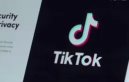 TikTok trở lại thị trường thương mại điện tử Indonesia