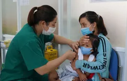 Đắk Lắk ghi nhận thêm 2 trường hợp mắc bệnh viêm não Nhật Bản