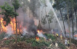 Diễn tập phòng cháy, chữa cháy rừng cấp quốc gia