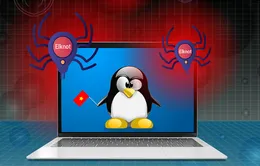 Cảnh báo nhiều biến thể virus Elknot nhắm tới máy chủ Linux Việt Nam