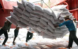 Nhiều cơ hội tăng tốc xuất khẩu gạo năm 2024