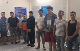TP Hồ Chí Minh: Triệt xóa tụ điểm đá gà ăn tiền, tạm giữ 11 đối tượng
