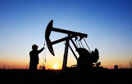Giá dầu nối dài đà giảm
