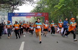 Giải chạy "Vì một Việt Nam không có bạo lực với phụ nữ và trẻ em gái" năm 2023