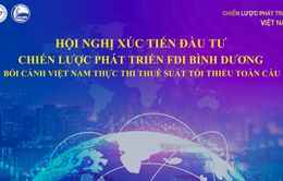 Xúc tiến đầu tư - Chiến lược thu hút FDI Bình Dương bối cảnh Việt Nam thực thi thuế suất tối thiểu toàn cầu