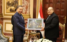 Tăng cường hợp tác song phương Việt Nam - Ai Cập trên các lĩnh vực