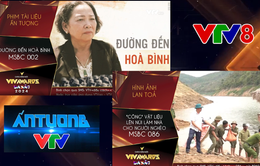 VTV8 có 2 tác phẩm được đề cử cho giải thưởng "Ấn tượng VTV"