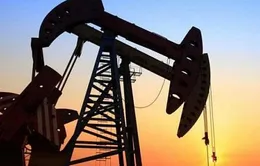 Vì sao OPEC+ cắt giảm sản lượng mà giá dầu vẫn giảm?