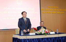 Phát huy vai trò cơ quan đại diện Việt Nam ở nước ngoài