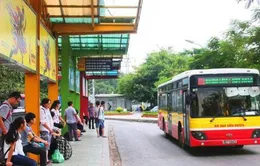 Gần 100% xe bus Hà Nội đạt chất lượng 5 sao