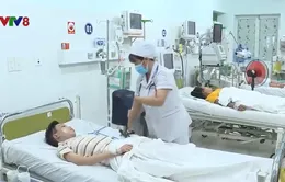 Khánh Hòa: Nhiều ca sốt xuất huyết nhập viện