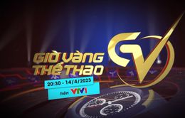 Giờ vàng thể thao tuần này: Chuyện trọng tài và những phát ngôn của người trong cuộc