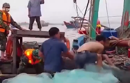 Quảng Bình cứu nạn kịp thời tàu đánh cá bị chìm trên biển