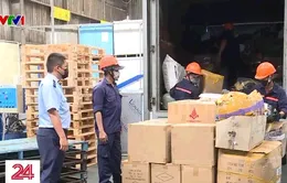 Tiêu hủy hàng chục nghìn sản phẩm hàng giả, hàng lậu