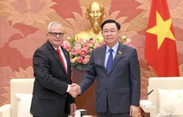 Thúc đẩy quan hệ hợp tác giữa Việt Nam và các đối tác ở khu vực Mỹ Latinh