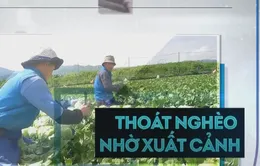 Nhiều gia đình thoát nghèo nhờ xuất khẩu lao động