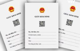 Thí điểm cấp bản điện tử giấy khai sinh, trích lục khai tử