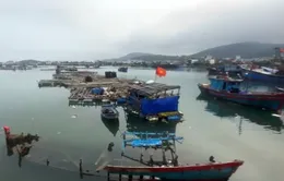 Xác tàu đắm nằm chờ dự án nạo vét cửa biển Sa Huỳnh